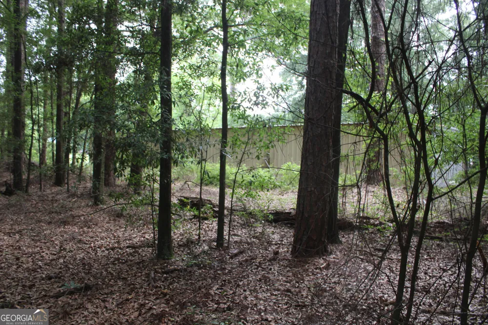 0 S State Route 49 RD Oglethorpe, GA 31068
