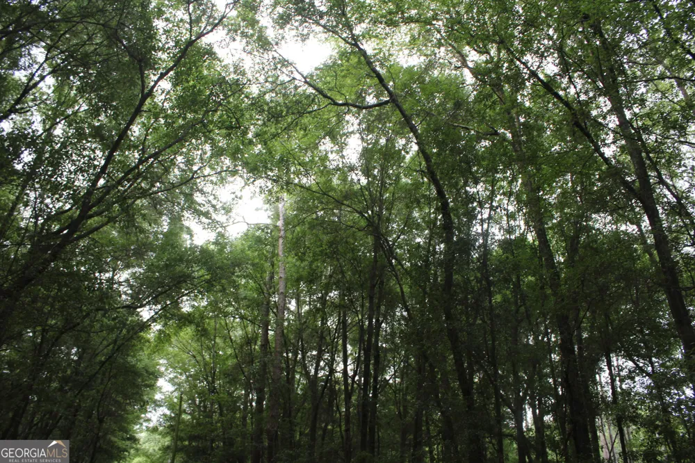 0 S State Route 49 RD Oglethorpe, GA 31068