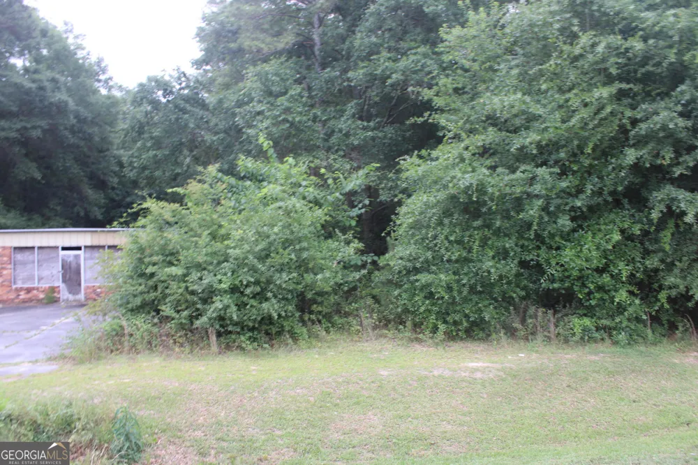 0 S State Route 49 RD Oglethorpe, GA 31068