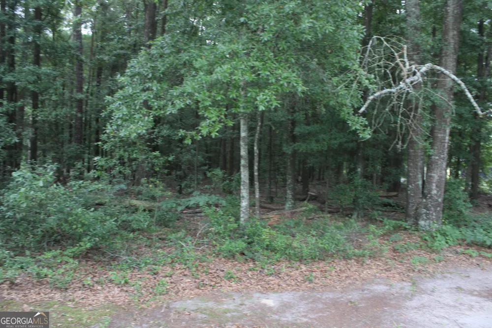 0 S State Route 49 RD Oglethorpe, GA 31068