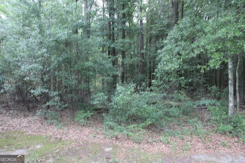 0 S State Route 49 RD Oglethorpe, GA 31068