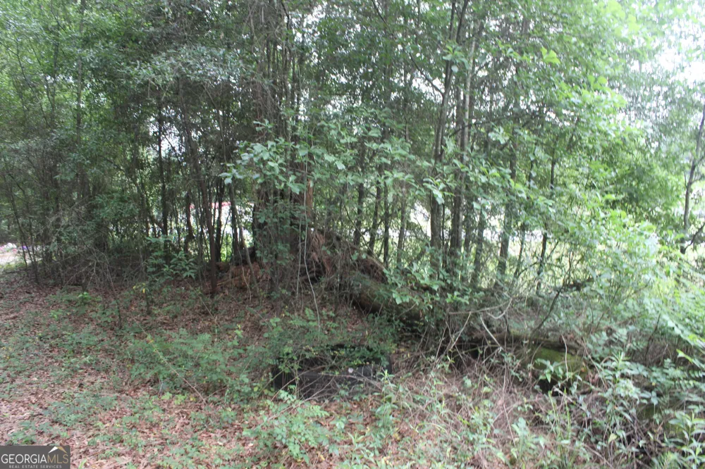 0 S State Route 49 RD Oglethorpe, GA 31068
