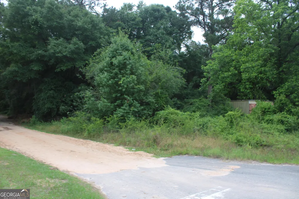 0 S State Route 49 RD Oglethorpe, GA 31068