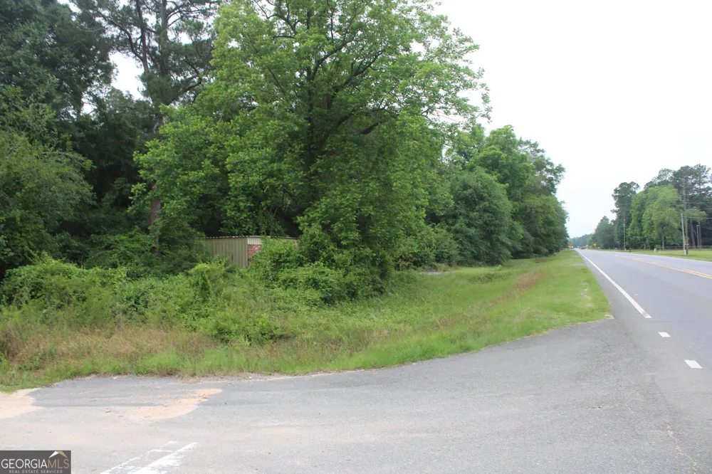 0 S State Route 49 RD Oglethorpe, GA 31068