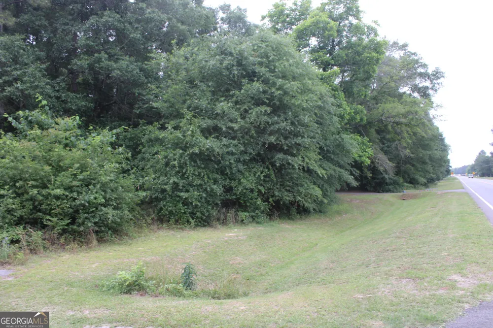0 S State Route 49 RD Oglethorpe, GA 31068