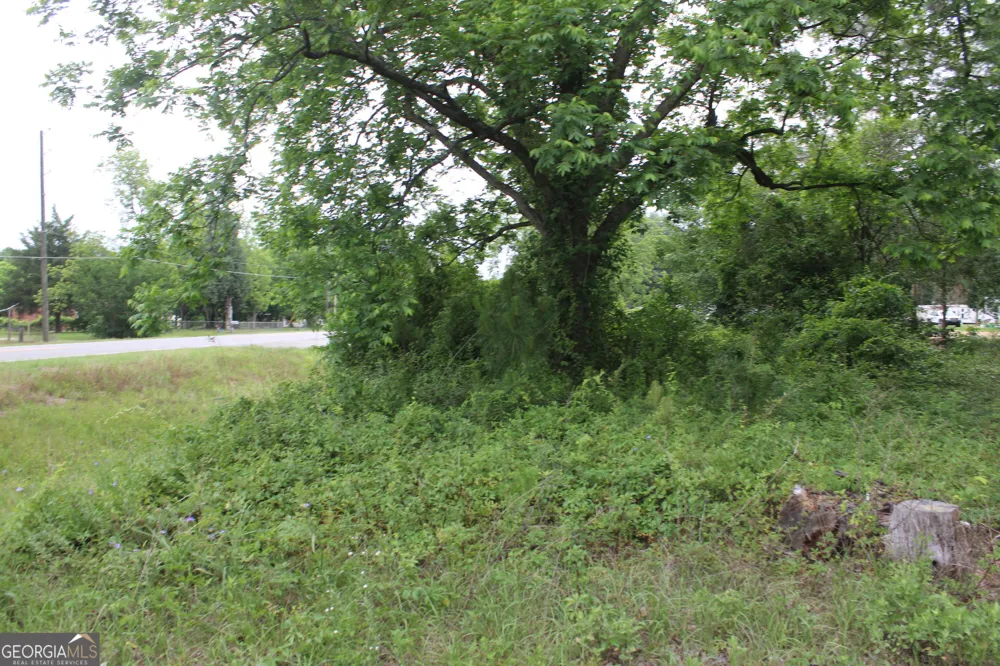 0 S State Route 49 RD Oglethorpe, GA 31068