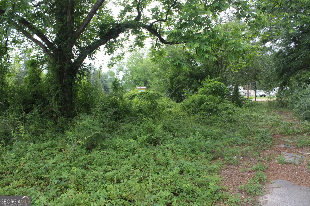 0 S State Route 49 RD Oglethorpe, GA 31068