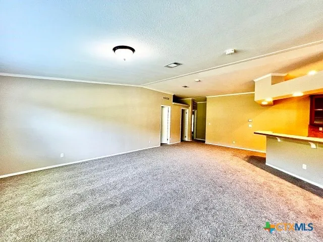 614 County Road 3220 Kempner, TX 76539