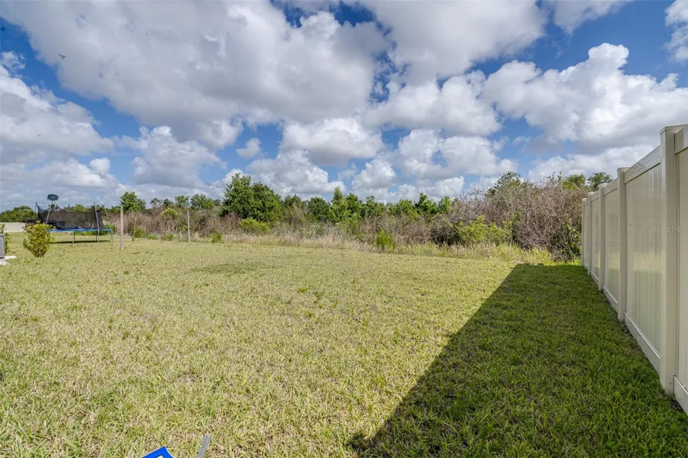 5182 FIDDLE FIG AVENUE Wimauma, FL 33598