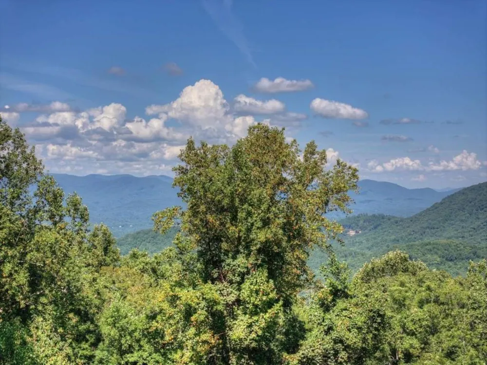 917 Walnut Ridge Ellijay, GA 30536