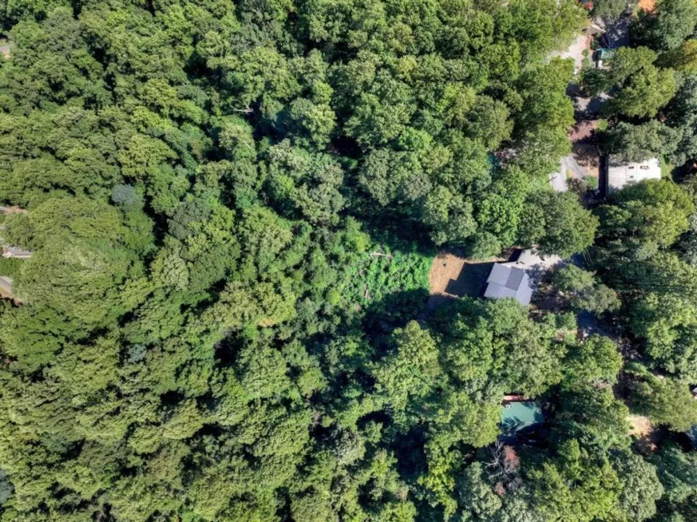 917 Walnut Ridge Ellijay, GA 30536