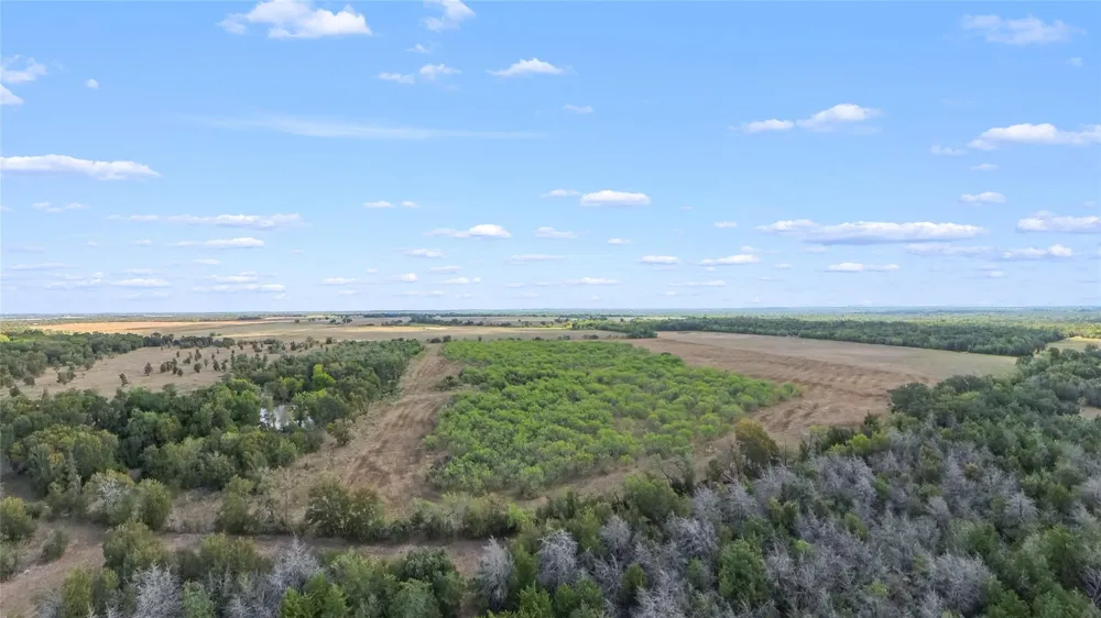 275 Cr 267 Kosse, TX 76653