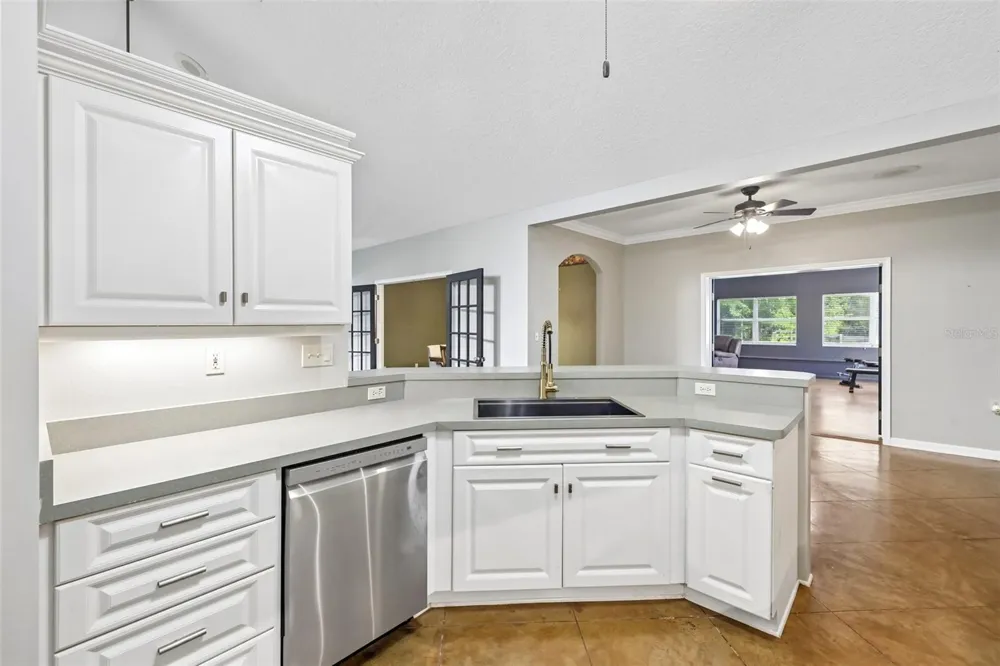 22301 CORONADO SOMERSET DRIVE Sorrento, FL 32776