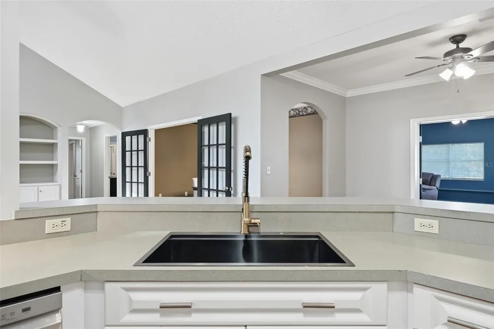 22301 CORONADO SOMERSET DRIVE Sorrento, FL 32776