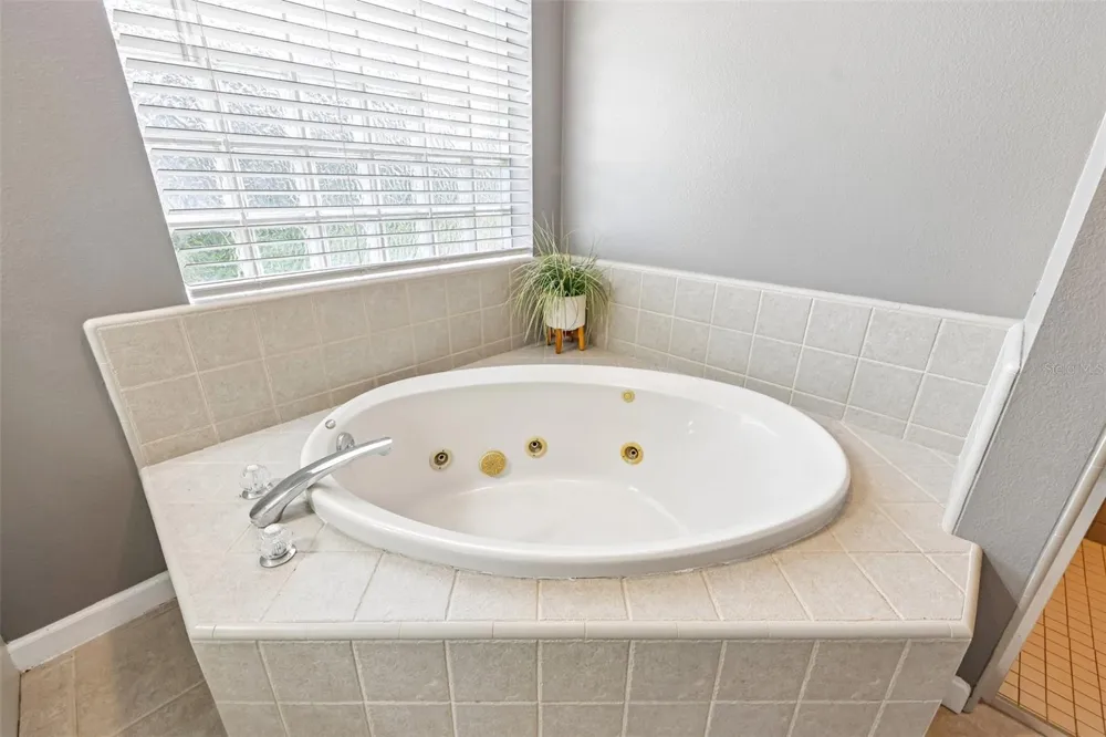 22301 CORONADO SOMERSET DRIVE Sorrento, FL 32776