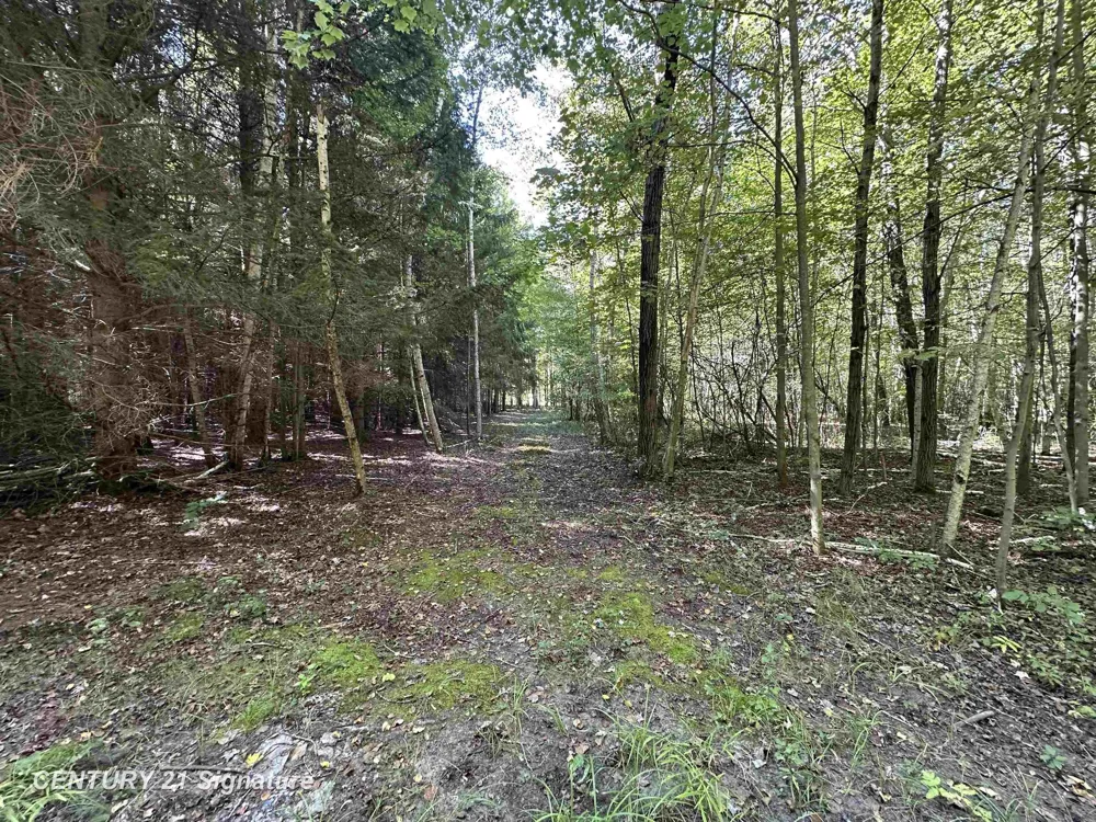 7163 Wilson Road Montrose Charter Township, MI 48457
