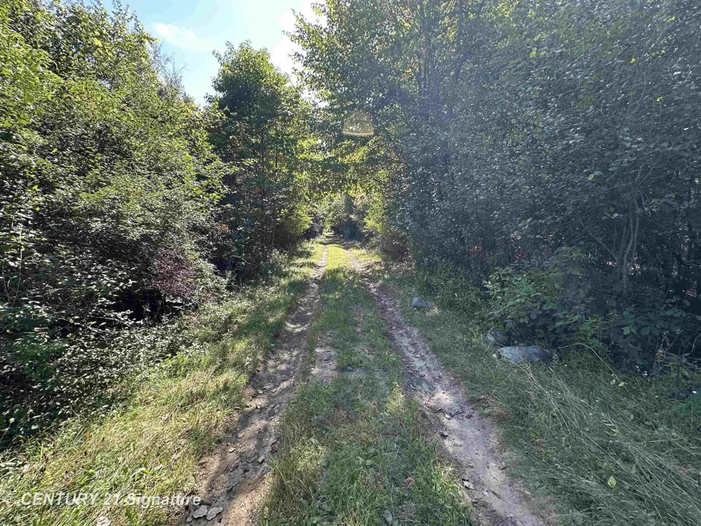 7163 Wilson Road Montrose Charter Township, MI 48457