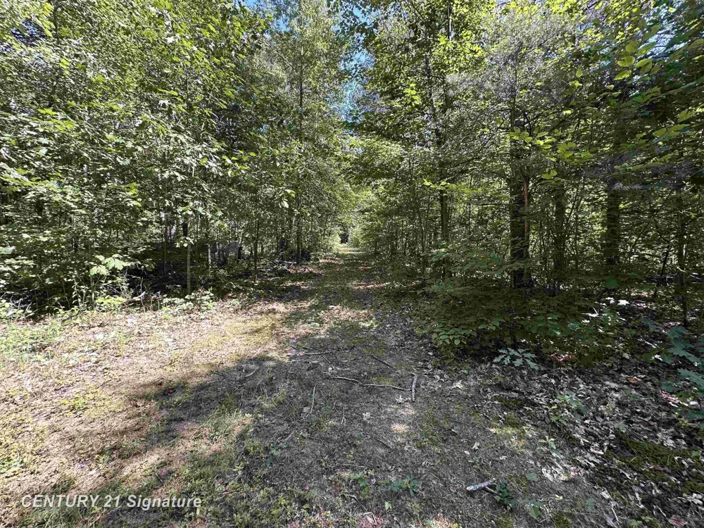 7163 Wilson Road Montrose Charter Township, MI 48457