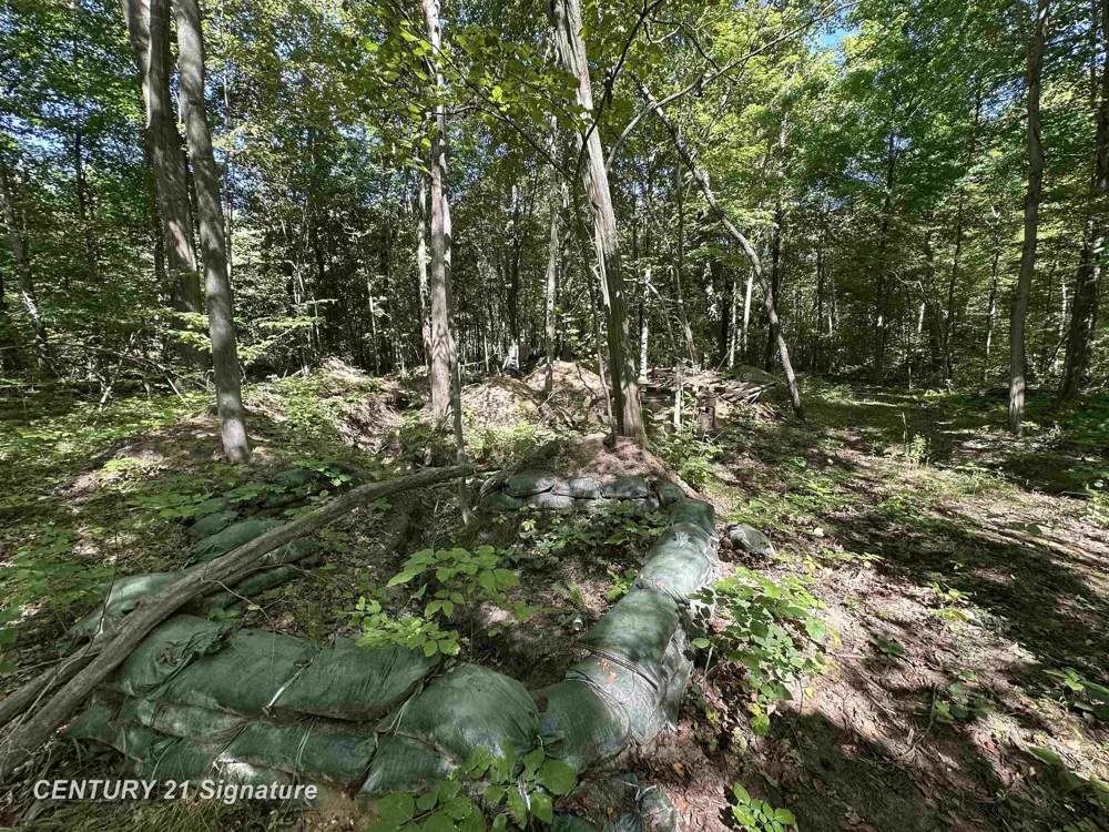 7163 Wilson Road Montrose Charter Township, MI 48457