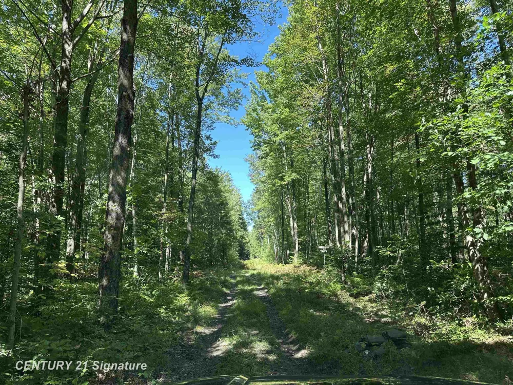 7163 Wilson Road Montrose Charter Township, MI 48457