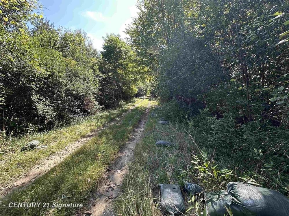7163 Wilson Road Montrose Charter Township, MI 48457