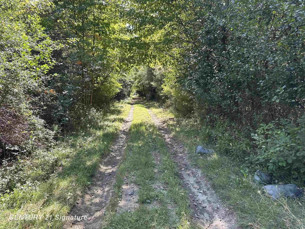 7163 Wilson Road Montrose Charter Township, MI 48457