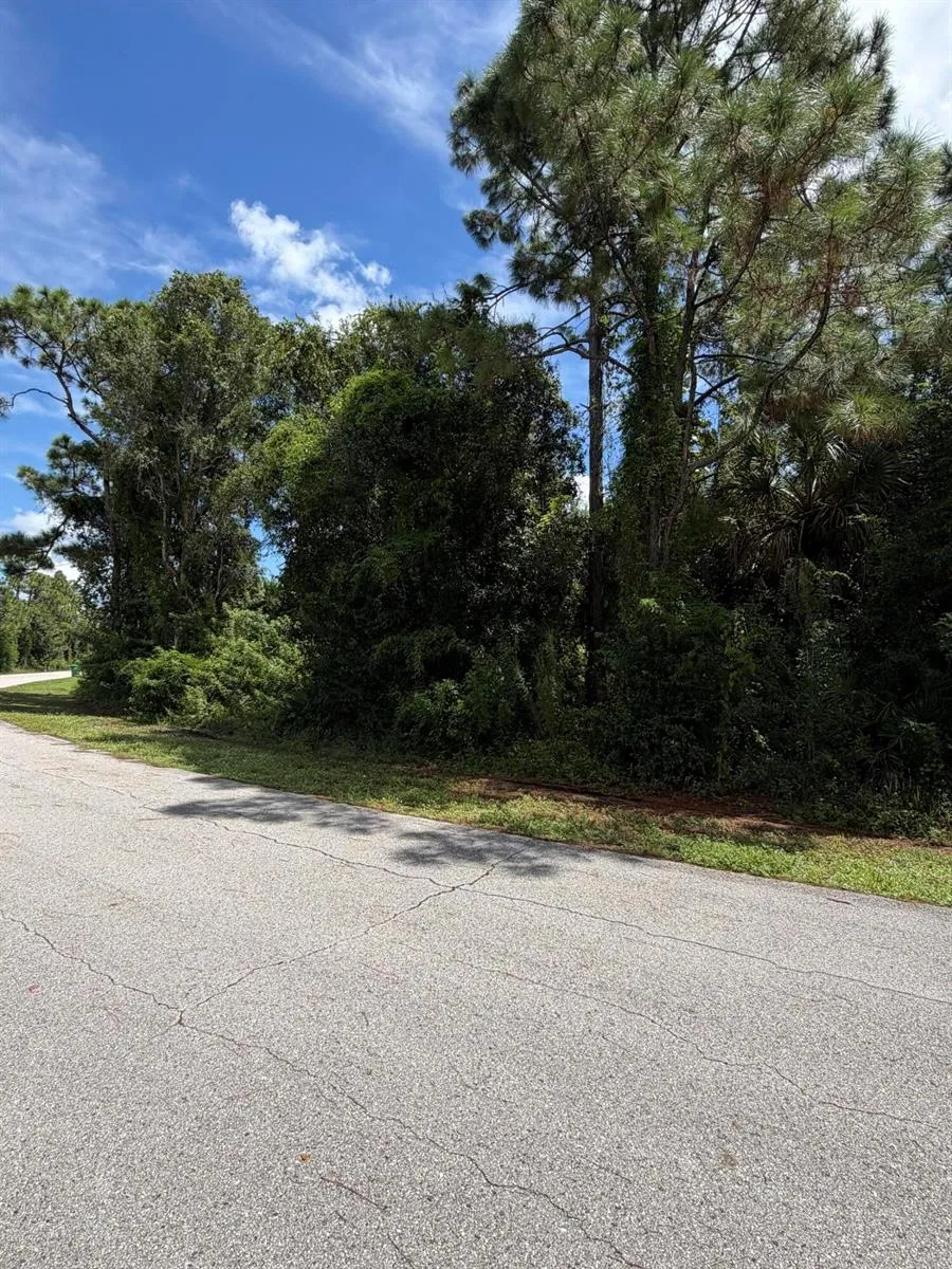 12094 BORAX AVENUE Punta Gorda, FL 33955