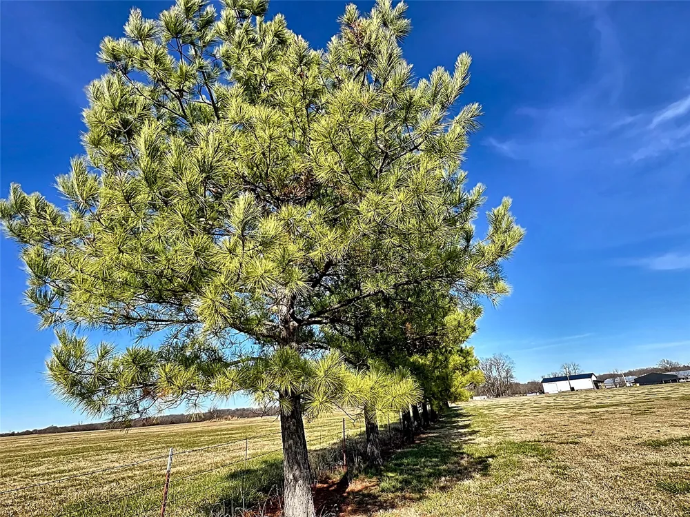 1998 W Allen Road Tahlequah, OK 74464