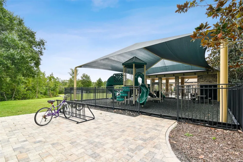 3335 STONEGATE FALLS DRIVE Land O Lakes, FL 34638