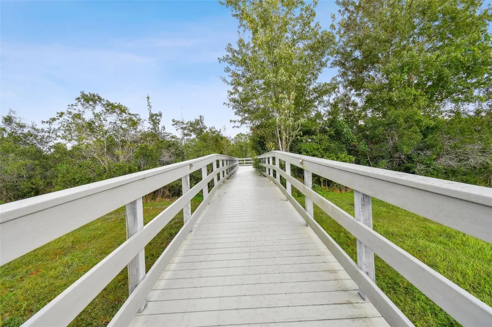 3335 STONEGATE FALLS DRIVE Land O Lakes, FL 34638