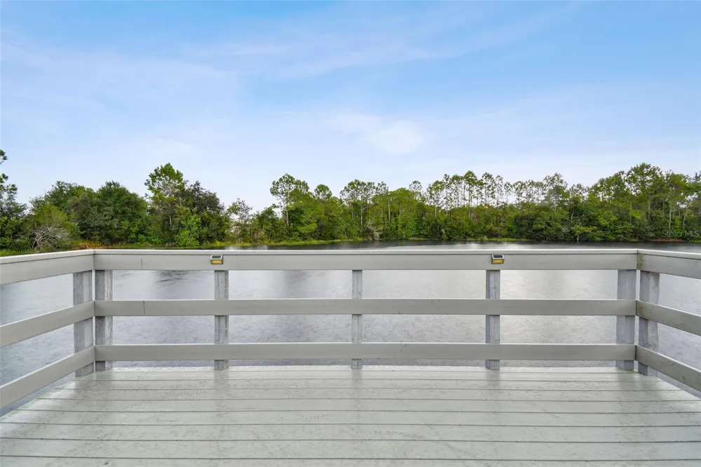 3335 STONEGATE FALLS DRIVE Land O Lakes, FL 34638