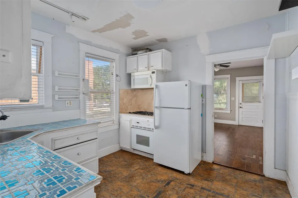 915 E SITKA STREET Tampa, FL 33604