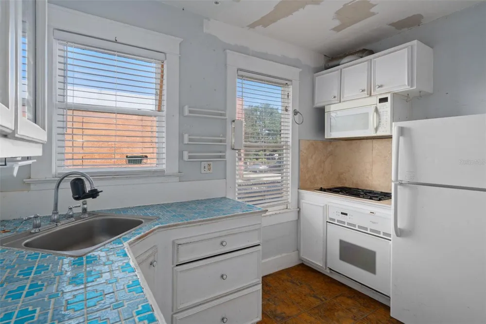 915 E SITKA STREET Tampa, FL 33604