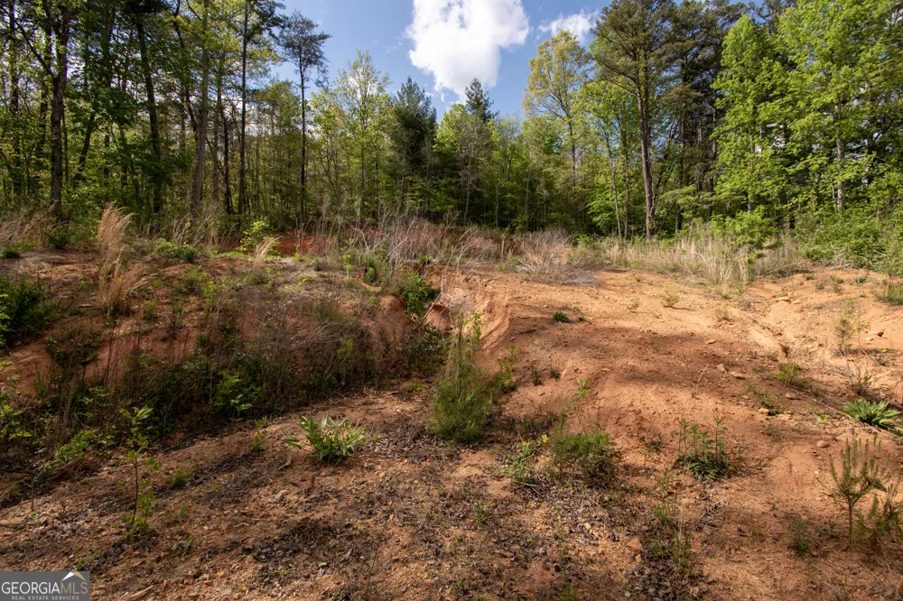 0 W Vineyard RD Hayesville, NC 28904