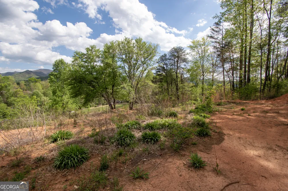0 W Vineyard RD Hayesville, NC 28904