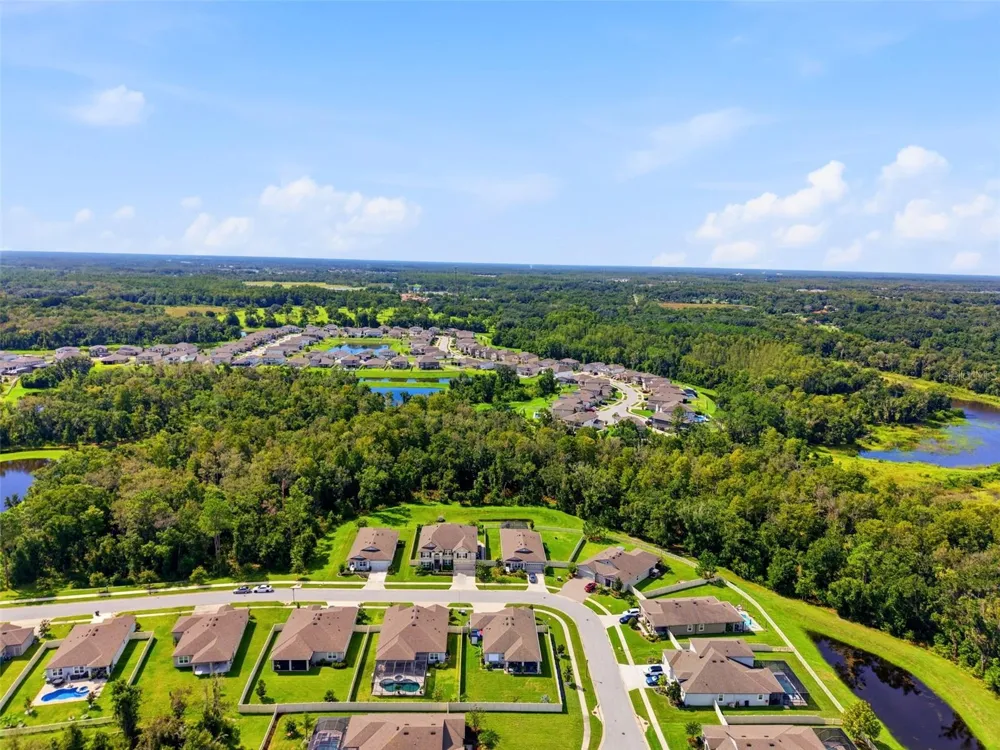 18117 ROMANESQUE COURT Spring Hill, FL 34610
