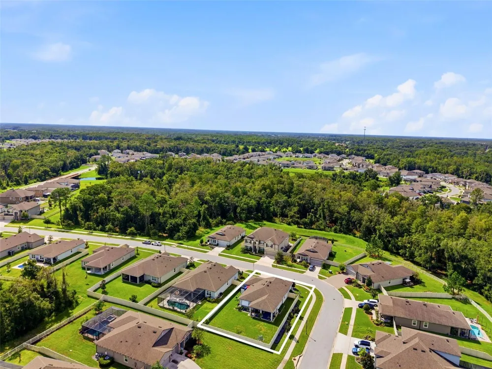 18117 ROMANESQUE COURT Spring Hill, FL 34610