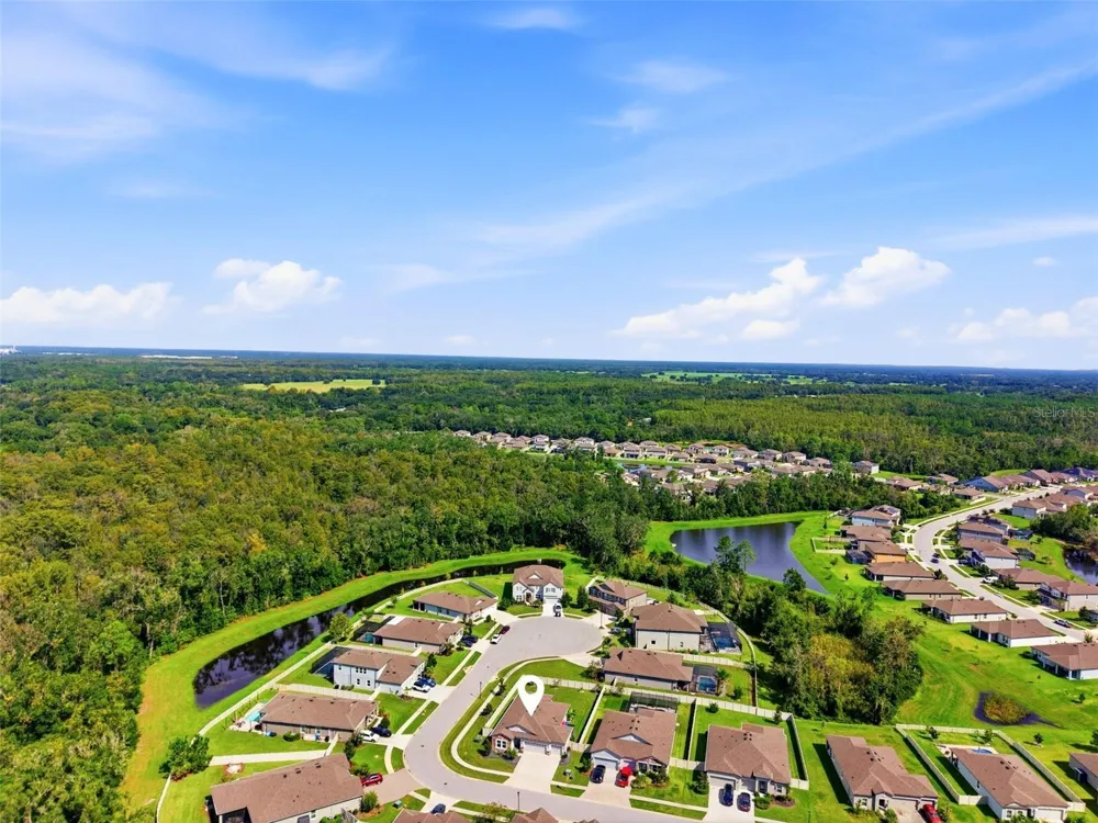 18117 ROMANESQUE COURT Spring Hill, FL 34610