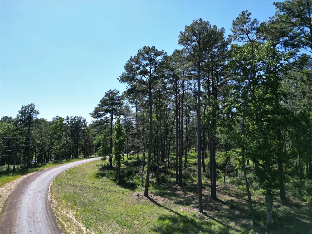 22 Pr 1313 Centerville, TX 75833