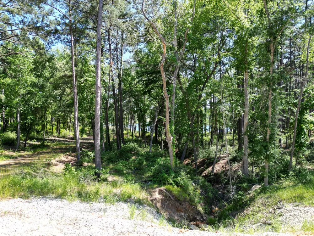 22 Pr 1313 Centerville, TX 75833