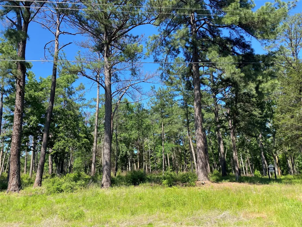 22 Pr 1313 Centerville, TX 75833