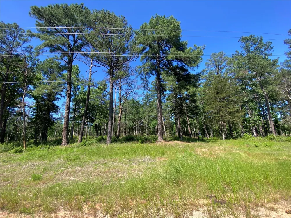 22 Pr 1313 Centerville, TX 75833