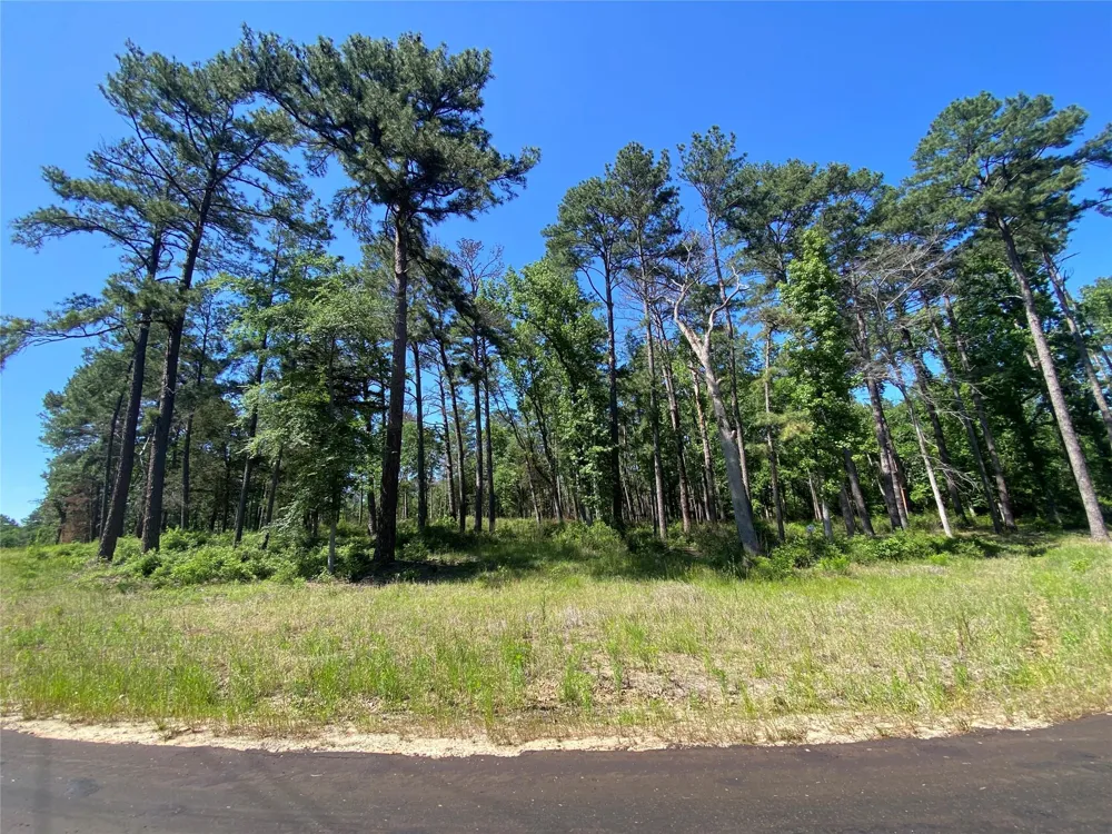22 Pr 1313 Centerville, TX 75833
