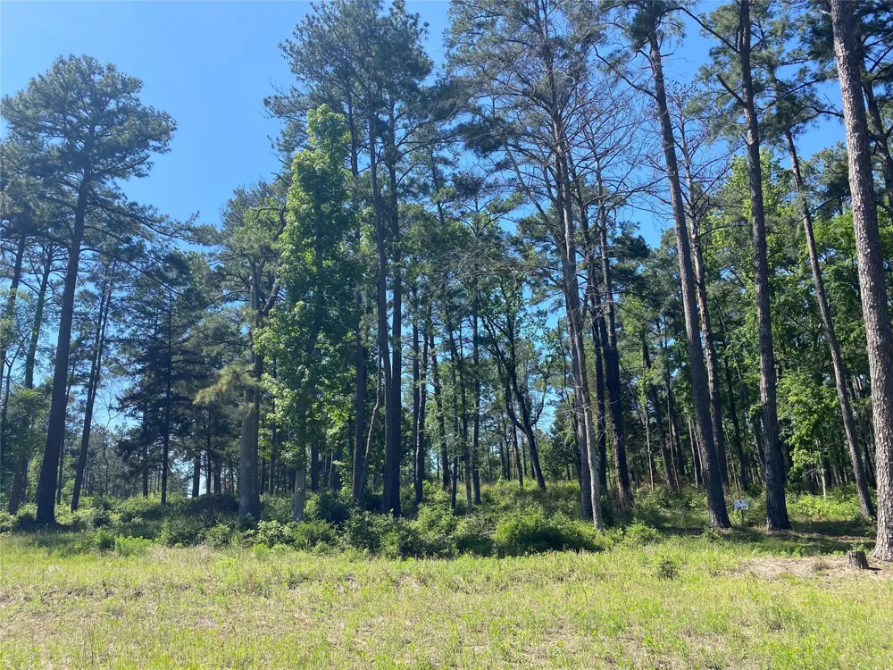 22 Pr 1313 Centerville, TX 75833
