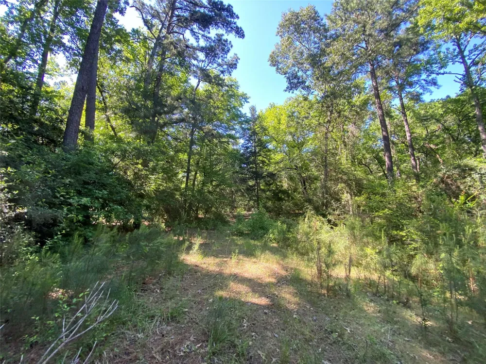 22 Pr 1313 Centerville, TX 75833