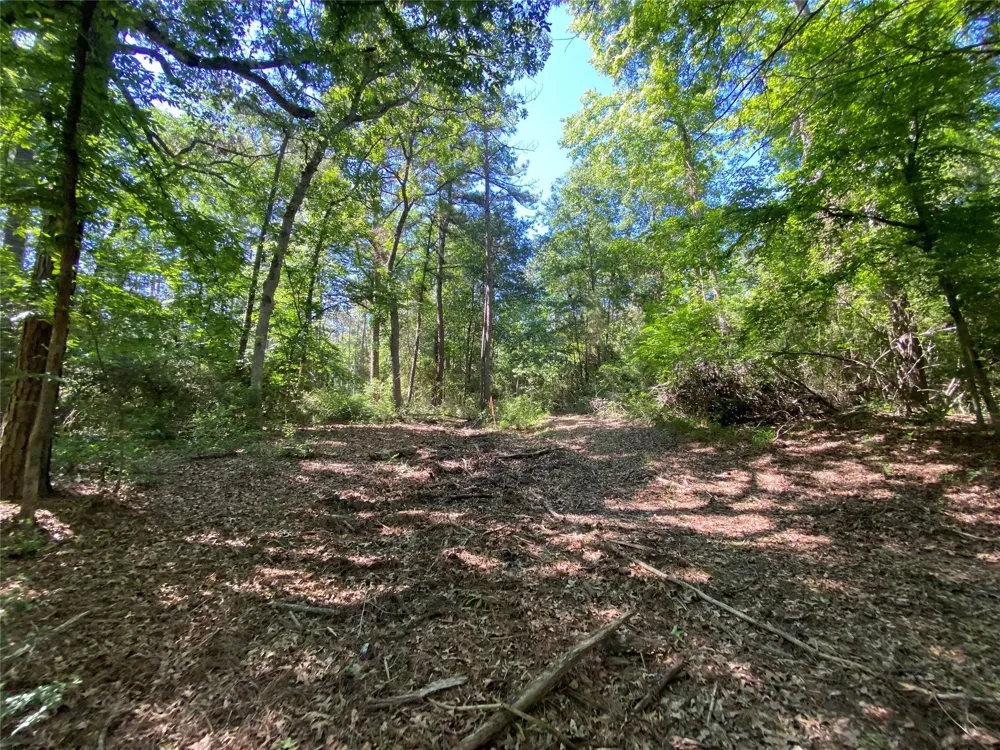 22 Pr 1313 Centerville, TX 75833