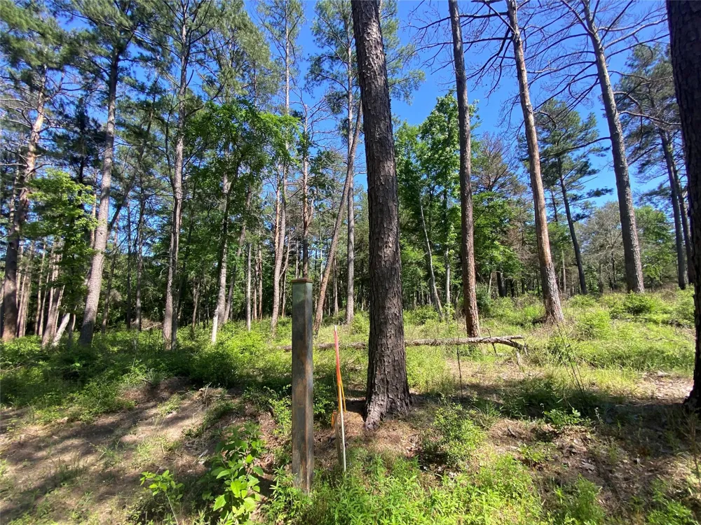 22 Pr 1313 Centerville, TX 75833