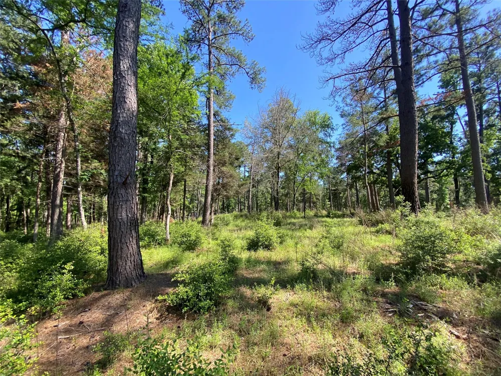 22 Pr 1313 Centerville, TX 75833