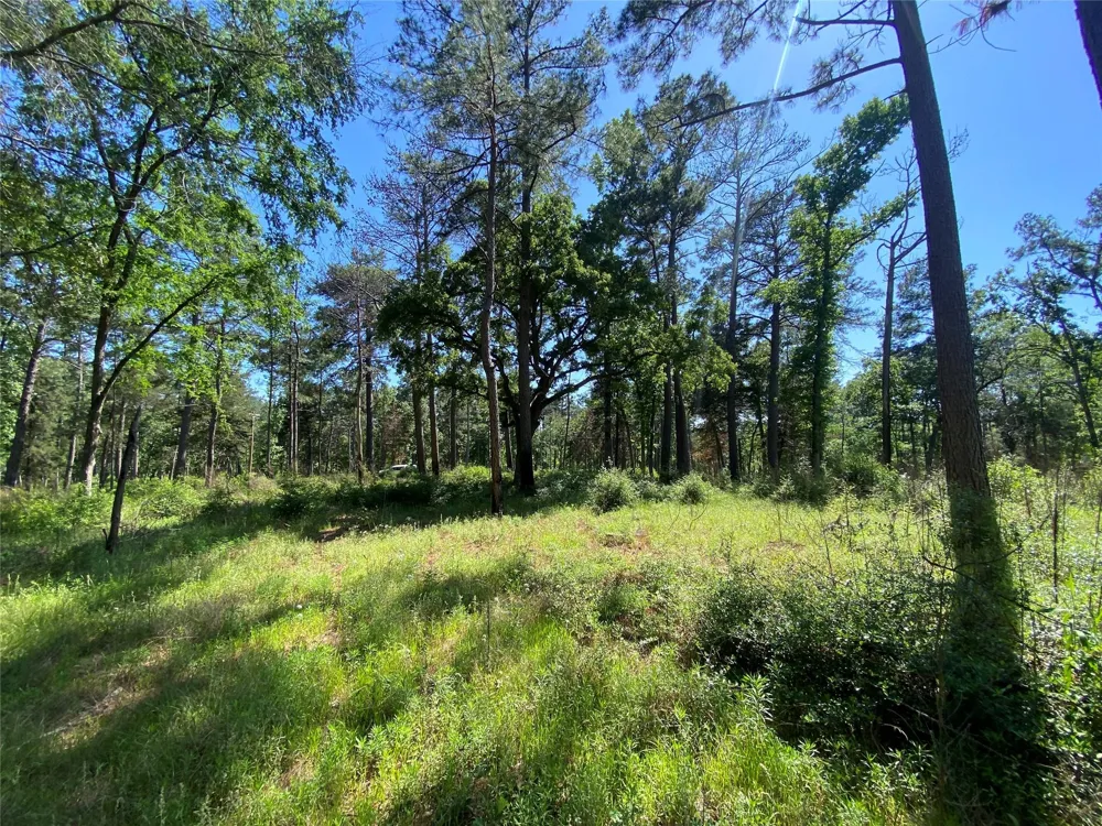 22 Pr 1313 Centerville, TX 75833