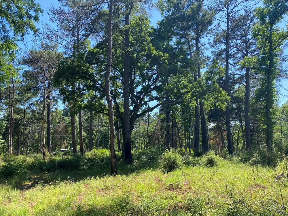 22 Pr 1313 Centerville, TX 75833